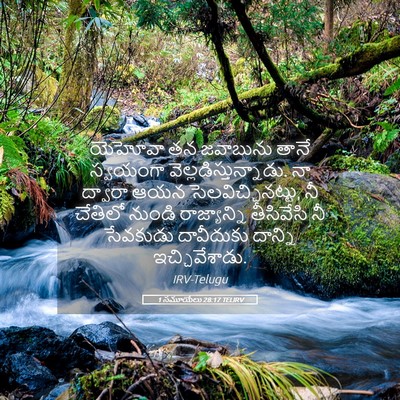 Picture 05 - 1 సమూయేలు 28:17 TELIRV - యెహోవా తన జవాబును - Bible Verse Picture