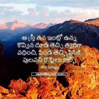 Picture 05 - 1 సమూయేలు 28:24 TELIRV - ఆ స్త్రీ తన ఇంట్లో - Bible Verse Picture