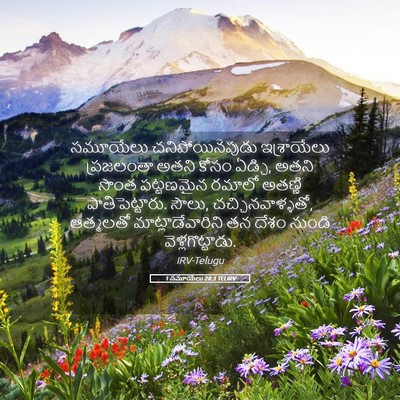 Picture 05 - 1 సమూయేలు 28:3 TELIRV - సమూయేలు - Bible Verse Picture