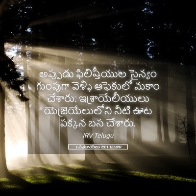 Picture 05 - 1 సమూయేలు 29:1 TELIRV - అప్పుడు - Bible Verse Picture