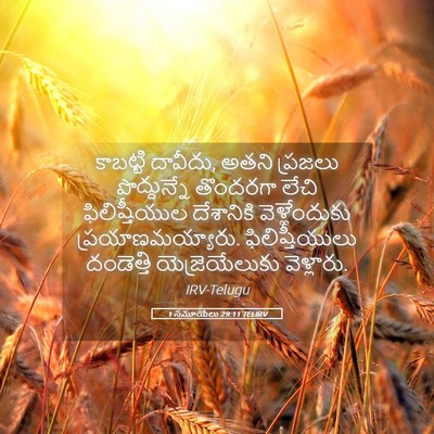 Picture 05 - 1 సమూయేలు 29:11 TELIRV - కాబట్టి దావీదు, - Bible Verse Picture