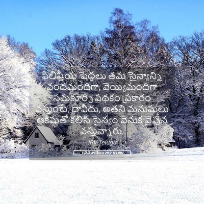 Picture 05 - 1 సమూయేలు 29:2 TELIRV - ఫిలిష్తీయ పెద్దలు - Bible Verse Picture