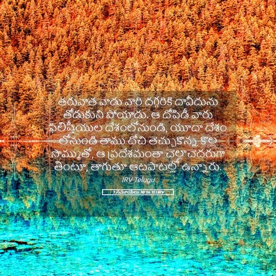 Picture 05 - 1 సమూయేలు 30:16 TELIRV - తరువాత వాడు వారి - Bible Verse Picture