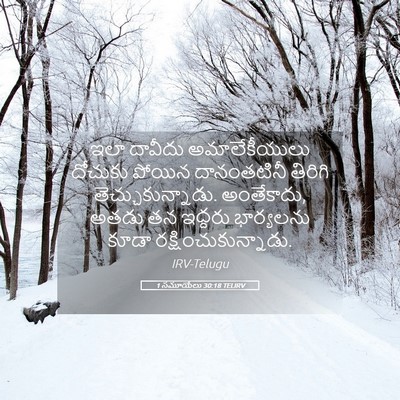 Picture 05 - 1 సమూయేలు 30:18 TELIRV - ఇలా దావీదు - Bible Verse Picture