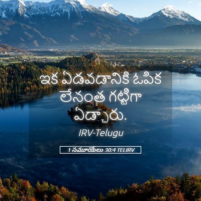 Picture 05 - 1 సమూయేలు 30:4 TELIRV - ఇక ఏడవడానికి ఓపిక - Bible Verse Picture