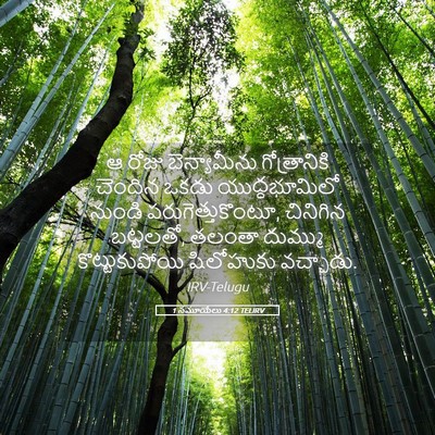 Picture 05 - 1 సమూయేలు 4:12 TELIRV - ఆ రోజు బెన్యామీను - Bible Verse Picture