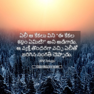 Picture 05 - 1 సమూయేలు 4:14 TELIRV - ఏలీ ఆ కేకలు విని “ఈ - Bible Verse Picture