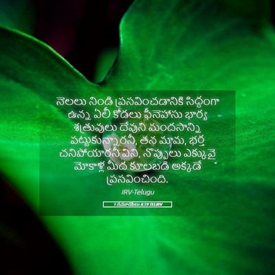 Picture 05 - 1 సమూయేలు 4:19 TELIRV - నెలలు నిండి - Bible Verse Picture