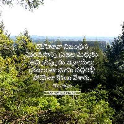 Picture 05 - 1 సమూయేలు 4:5 TELIRV - యెహోవా నిబంధన - Bible Verse Picture