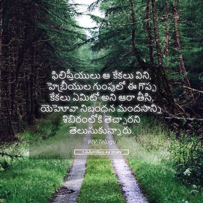 Picture 05 - 1 సమూయేలు 4:6 TELIRV - ఫిలిష్తీయులు ఆ - Bible Verse Picture