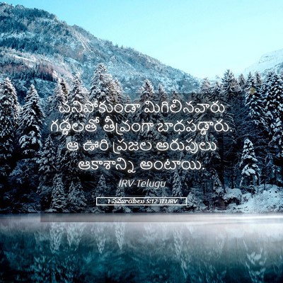 Picture 05 - 1 సమూయేలు 5:12 TELIRV - చనిపోకుండా - Bible Verse Picture