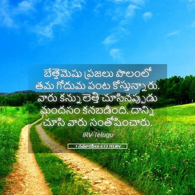 Picture 05 - 1 సమూయేలు 6:13 TELIRV - బేత్షెమెషు ప్రజలు - Bible Verse Picture