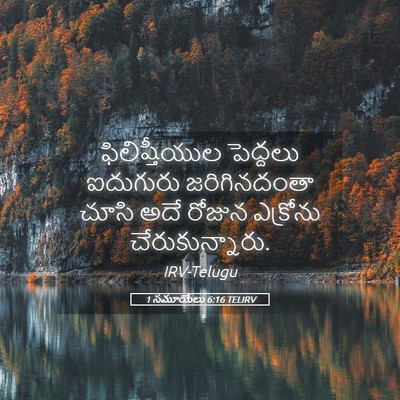 Picture 05 - 1 సమూయేలు 6:16 TELIRV - ఫిలిష్తీయుల - Bible Verse Picture