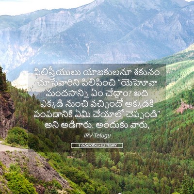 Picture 05 - 1 సమూయేలు 6:2 TELIRV - ఫిలిష్తీయులు - Bible Verse Picture