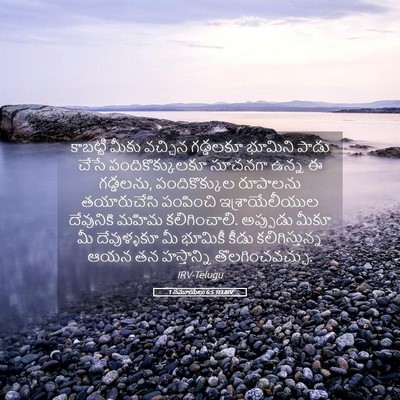 Picture 05 - 1 సమూయేలు 6:5 TELIRV - కాబట్టి మీకు - Bible Verse Picture