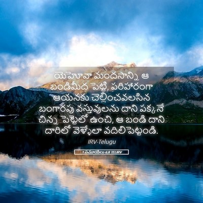 Picture 05 - 1 సమూయేలు 6:8 TELIRV - యెహోవా మందసాన్ని - Bible Verse Picture