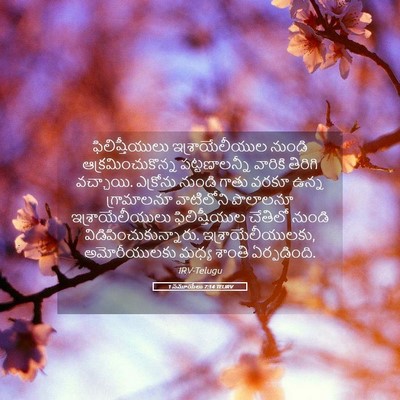 Picture 05 - 1 సమూయేలు 7:14 TELIRV - ఫిలిష్తీయులు - Bible Verse Picture