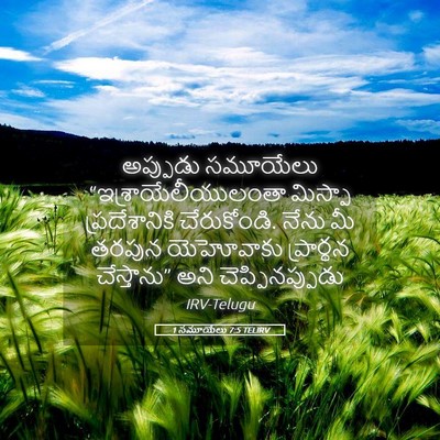 Picture 05 - 1 సమూయేలు 7:5 TELIRV - అప్పుడు సమూయేలు - Bible Verse Picture