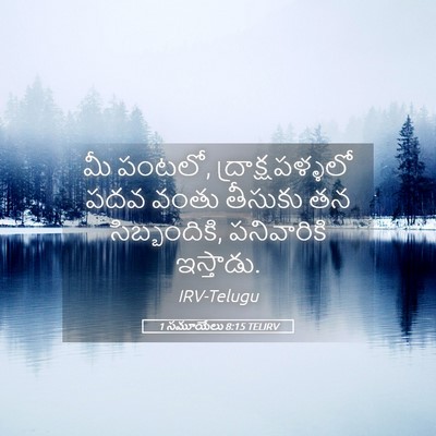 Picture 05 - 1 సమూయేలు 8:15 TELIRV - మీ పంటలో, - Bible Verse Picture
