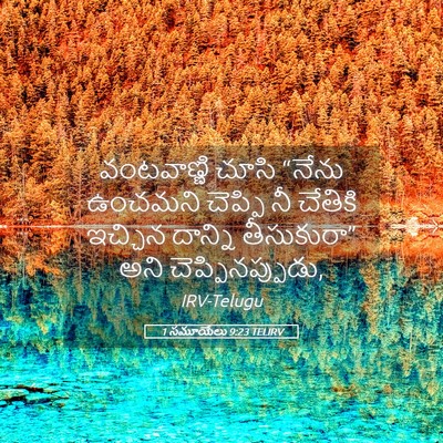 Picture 05 - 1 సమూయేలు 9:23 TELIRV - వంటవాణ్ణి చూసి - Bible Verse Picture