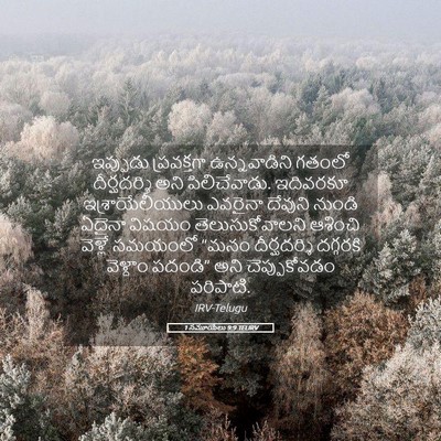 Picture 05 - 1 సమూయేలు 9:9 TELIRV - ఇప్పుడు ప్రవక్తగా - Bible Verse Picture