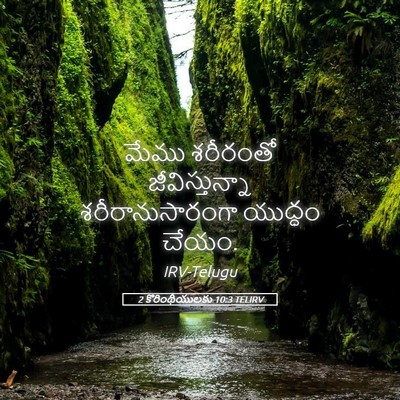 Picture 05 - 2 కొరింథీయులకు 10:3 TELIRV - మేము శరీరంతో - Bible Verse Picture