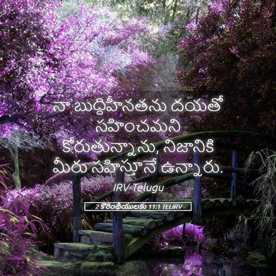 Picture 05 - 2 కొరింథీయులకు 11:1 TELIRV - నా బుద్దిహీనతను - Bible Verse Picture