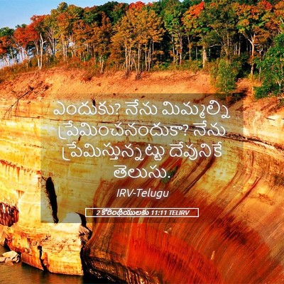 Picture 05 - 2 కొరింథీయులకు 11:11 TELIRV - ఎందుకు? నేను - Bible Verse Picture