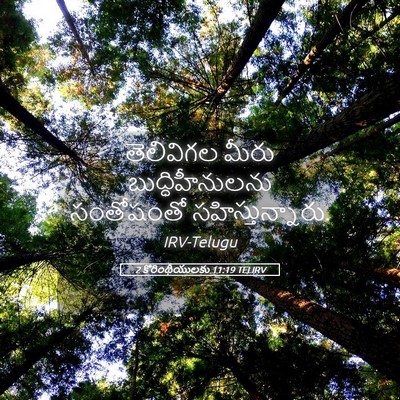 Picture 05 - 2 కొరింథీయులకు 11:19 TELIRV - తెలివిగల మీరు - Bible Verse Picture