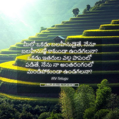 Picture 05 - 2 కొరింథీయులకు 11:29 TELIRV - మీలో ఒకడు - Bible Verse Picture