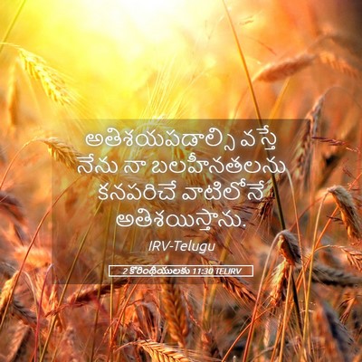 Picture 05 - 2 కొరింథీయులకు 11:30 TELIRV - అతిశయపడాల్సి - Bible Verse Picture