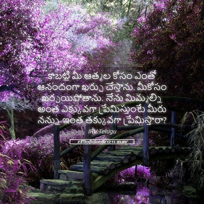 Picture 05 - 2 కొరింథీయులకు 12:15 TELIRV - కాబట్టి మీ ఆత్మల - Bible Verse Picture