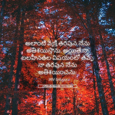 Picture 05 - 2 కొరింథీయులకు 12:5 TELIRV - అలాంటి వ్యక్తి - Bible Verse Picture
