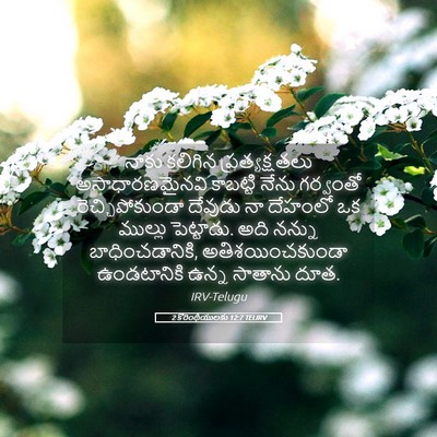 Picture 05 - 2 కొరింథీయులకు 12:7 TELIRV - నాకు కలిగిన - Bible Verse Picture