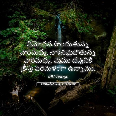 Picture 05 - 2 కొరింథీయులకు 2:15 TELIRV - విమోచన పొందుతున్న - Bible Verse Picture