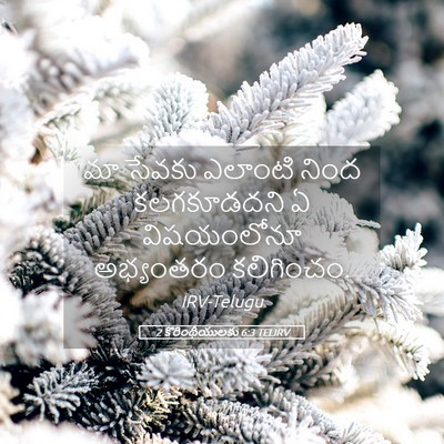 Picture 05 - 2 కొరింథీయులకు 6:3 TELIRV - మా సేవకు ఎలాంటి - Bible Verse Picture