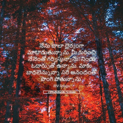 Picture 05 - 2 కొరింథీయులకు 7:4 TELIRV - నేను చాలా - Bible Verse Picture