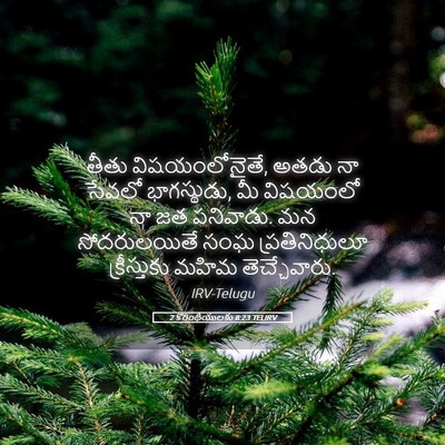 Picture 05 - 2 కొరింథీయులకు 8:23 TELIRV - తీతు విషయంలోనైతే, - Bible Verse Picture