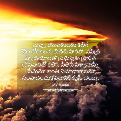 Picture 05 - 2 తిమోతి పత్రిక 2:22 TELIRV - నువ్వు యువకులకు - Bible Verse Picture