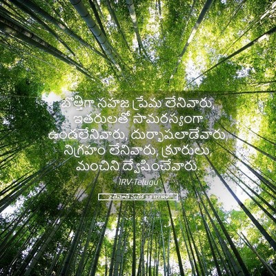 Picture 05 - 2 తిమోతి పత్రిక 3:3 TELIRV - బొత్తిగా సహజ - Bible Verse Picture