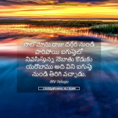 Picture 05 - 2 దినవృత్తాంతాలు 10:2 TELIRV - సొలొమోను రాజు - Bible Verse Picture