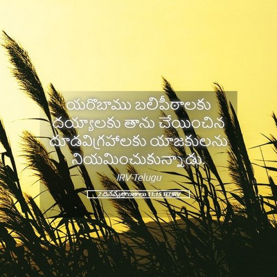 Picture 05 - 2 దినవృత్తాంతాలు 11:15 TELIRV - యరొబాము - Bible Verse Picture