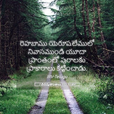 Picture 05 - 2 దినవృత్తాంతాలు 11:5 TELIRV - రెహబాము - Bible Verse Picture