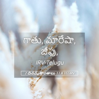 Picture 05 - 2 దినవృత్తాంతాలు 11:8 TELIRV - గాతు, మారేషా, - Bible Verse Picture