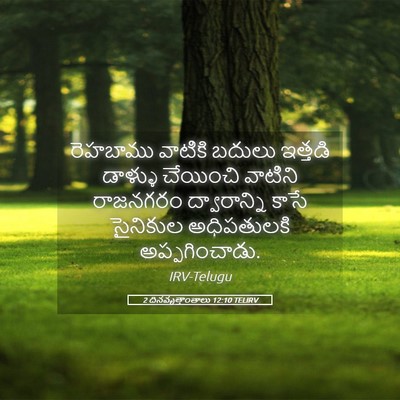 Picture 05 - 2 దినవృత్తాంతాలు 12:10 TELIRV - రెహబాము వాటికి - Bible Verse Picture