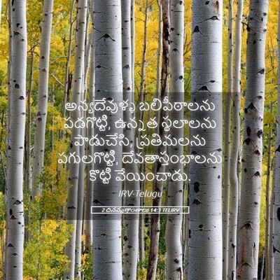 Picture 05 - 2 దినవృత్తాంతాలు 14:3 TELIRV - అన్యదేవుళ్ళ - Bible Verse Picture