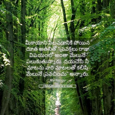 Picture 05 - 2 దినవృత్తాంతాలు 18:12 TELIRV - మీకాయాని - Bible Verse Picture