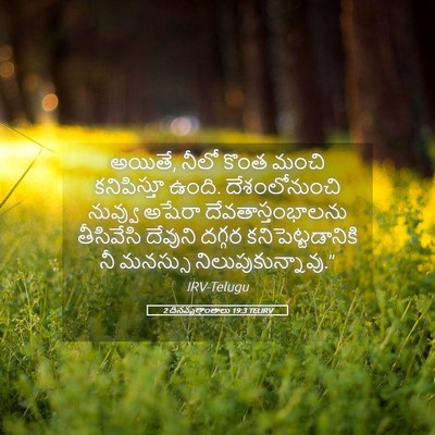 Picture 05 - 2 దినవృత్తాంతాలు 19:3 TELIRV - అయితే, నీలో కొంత - Bible Verse Picture