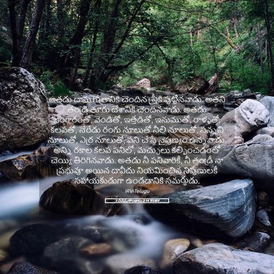 Picture 05 - 2 దినవృత్తాంతాలు 2:14 TELIRV - అతడు దాను - Bible Verse Picture