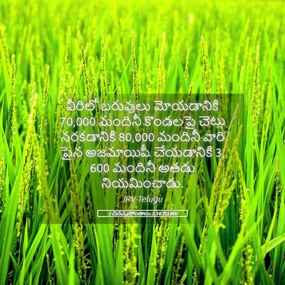 Picture 05 - 2 దినవృత్తాంతాలు 2:18 TELIRV - వీరిలో బరువులు - Bible Verse Picture